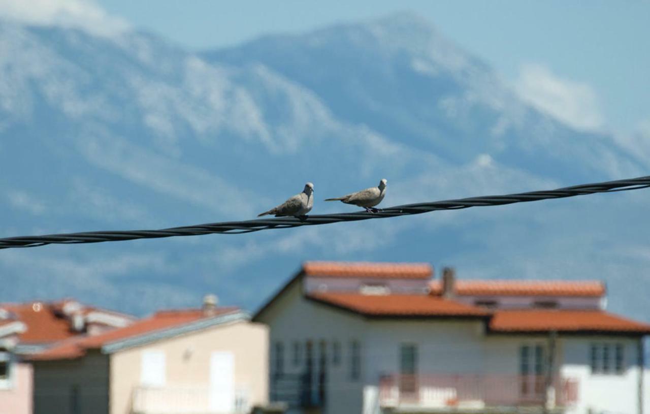Apartments Ukic Kaštela エクステリア 写真